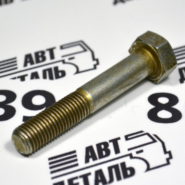 Болт М10х60х1,25