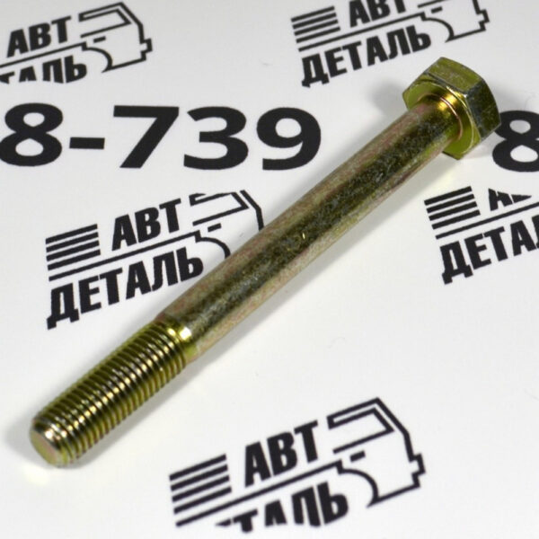 Болт М10х100х1,25